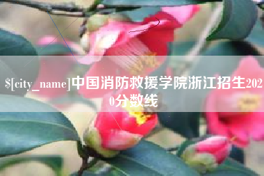 随州中国消防救援学院浙江招生2020分数线