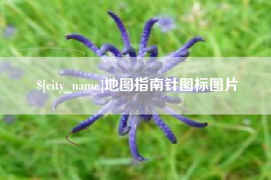 随州地图指南针图标图片
