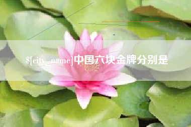 随州中国六块金牌分别是