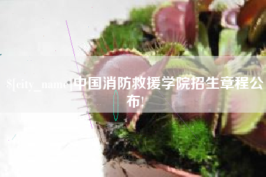 随州中国消防救援学院招生章程公布!
