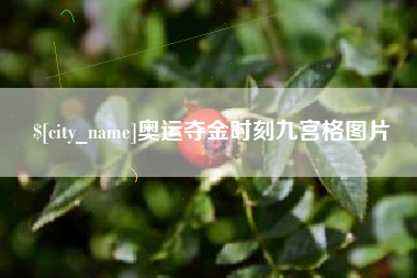 随州奥运夺金时刻九宫格图片