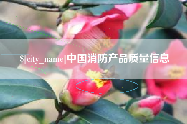 随州中国消防产品质量信息