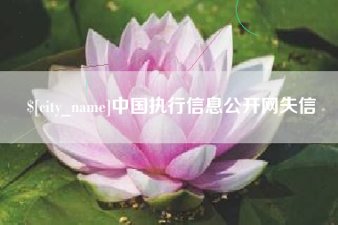 随州中国执行信息公开网失信