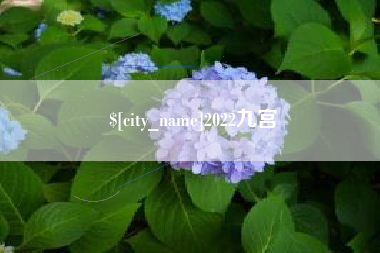 随州2022九宫