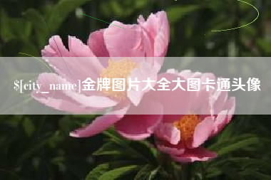 随州金牌图片大全大图卡通头像