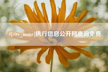 随州执行信息公开网查询免费