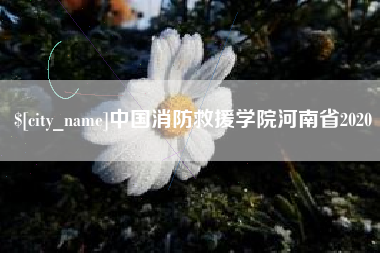 随州中国消防救援学院河南省2020